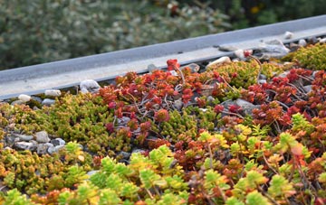 the cost of Middlesbrough green roof installation