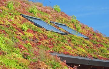 Middlesbrough living roof systems