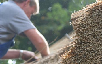 professional Middlesbrough thatchers