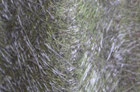 Middlesbrough fibreglass roof work